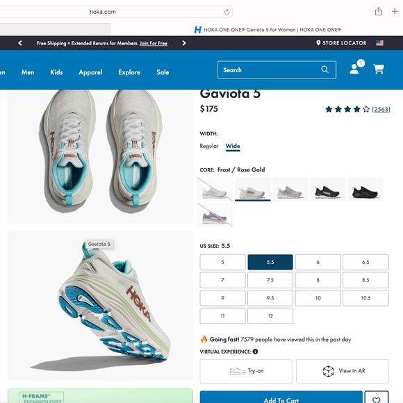 Hoka Gaviota - Picture 3 of 3